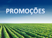 Promoções